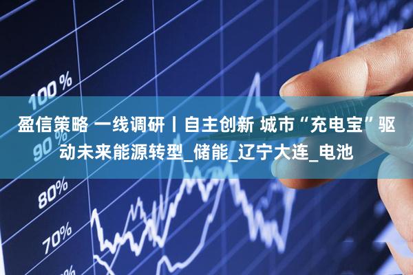 盈信策略 一线调研丨自主创新 城市“充电宝”驱动未来能源转型_储能_辽宁大连_电池