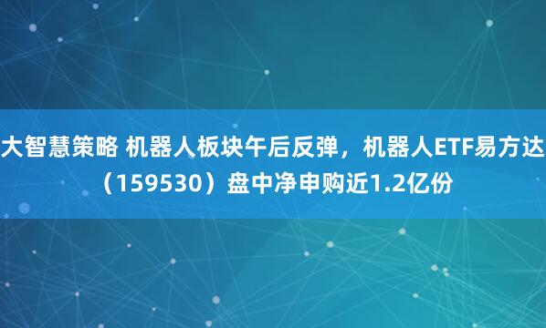 大智慧策略 机器人板块午后反弹，机器人ETF易方达（159530）盘中净申购近1.2亿份