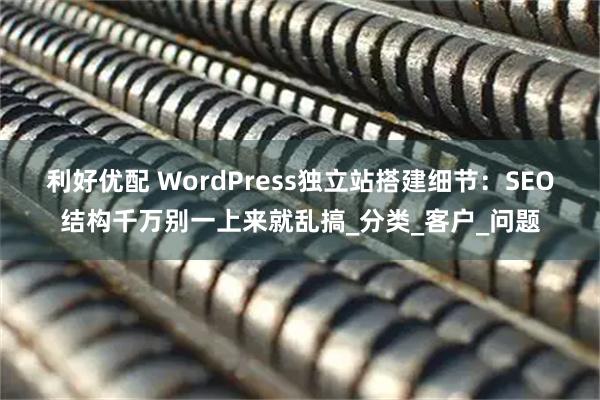 利好优配 WordPress独立站搭建细节：SEO结构千万别一上来就乱搞_分类_客户_问题